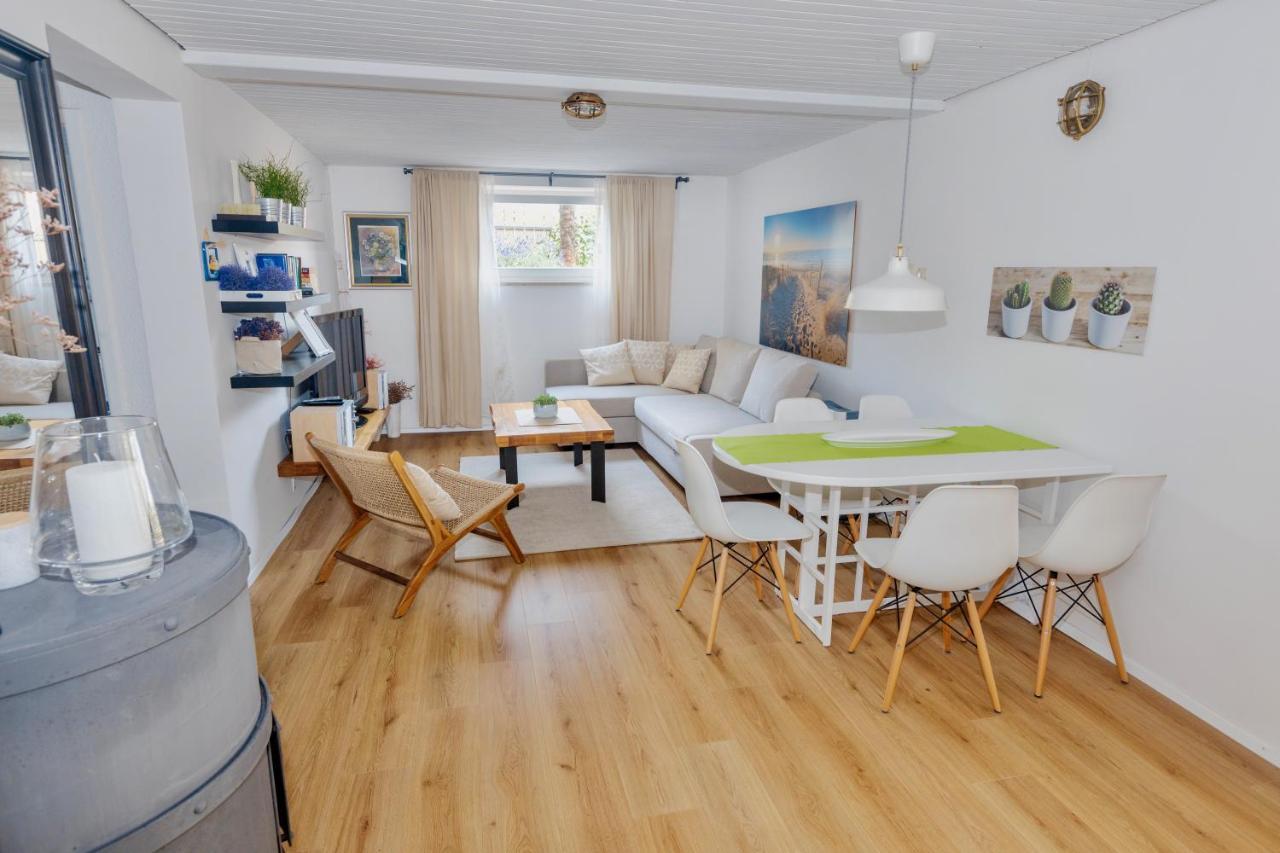 Residence Pecek Novigrad Istria المظهر الخارجي الصورة